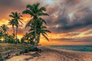Mysterious beach / ***