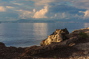 Wild beach / ***