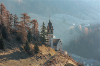The freshness of the morning / ***