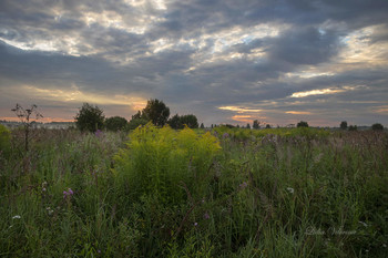 Morgen ein neuer Tag. / ***