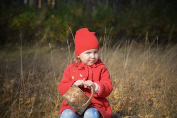 On the stump / ***