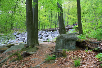 Landschaft / Odenwald / Hessen