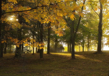 October ... / ***
