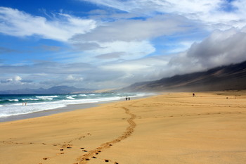 Walking along the shore / ...