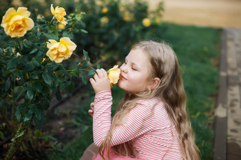Nach dem Regen / ///