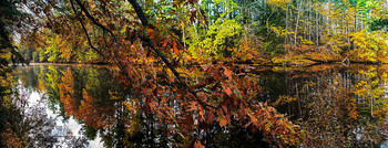  / The Souhegan River in Wildcat Conservation
Area - Merrimack - USA .