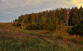 Autumn comes / ***