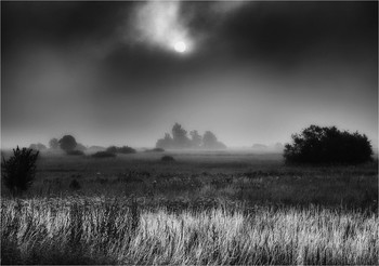 Fog dissipates / ***