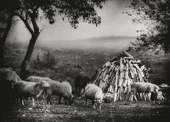 Rustic / ***