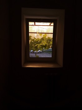 Windows / ***