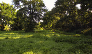 Path / ***