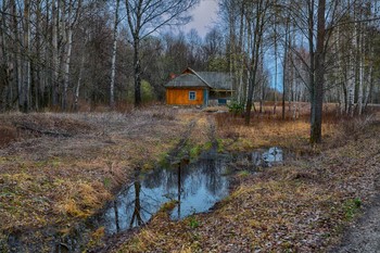 Im Wald am Rande ... / ***