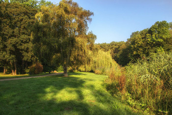 in the park / ***