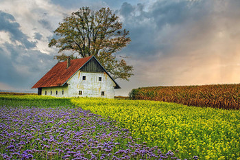  / Bauernland