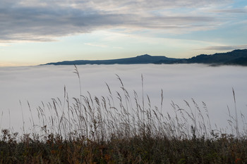 It&#39;s time to fog / ***