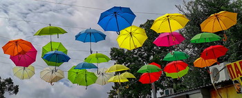 Regenschirme / ***