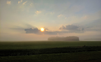 Evening fog / ***