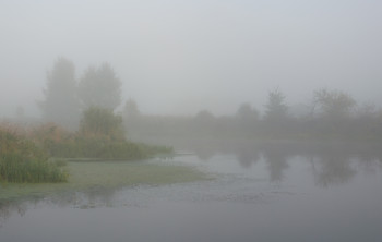 Foggy morning / ***