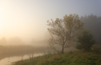 Sunrise / ***