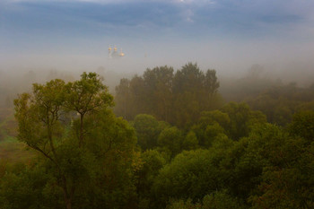 Foggy morning / ***