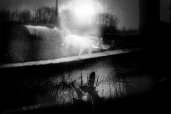 Fog dissipates / ...