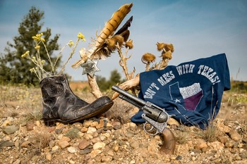 Don't Mess With Texas / Don't Mess With Texas