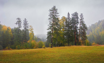 Autumn / ...