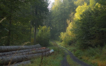 Morning in September / ***