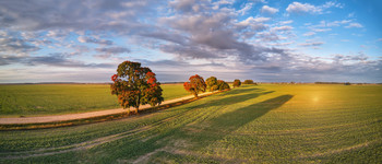 Early Autumn / ***