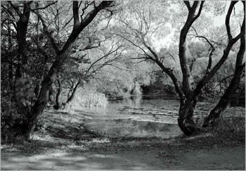 Old pond / ***
