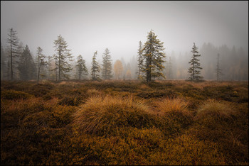 Hochmoor / Jura