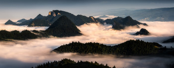 Morning above the clouds / Foggy morning in the Slovakia