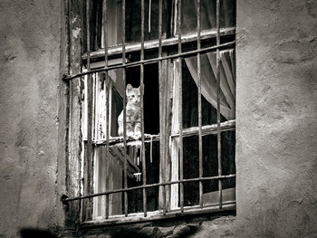 behind bars / ***