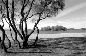 Autumn beach / ***
