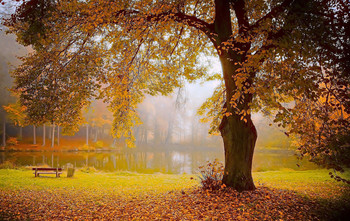 Enchanted light / Verzaubertes Licht.