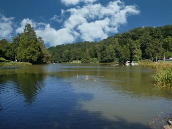 &nbsp; / =============