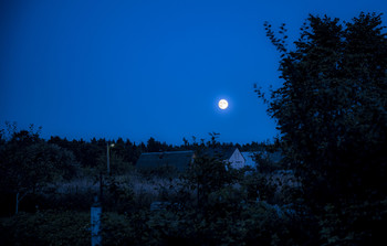 Night / ***