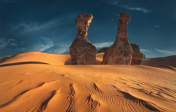 Sahara Desert * / ***