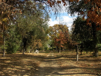 autumn motive / ***