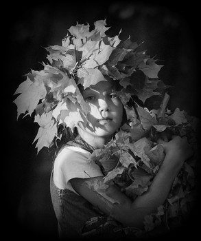 gold autumn / ***