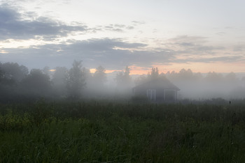 Evening fog / ***