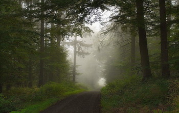 Fog in September / ***