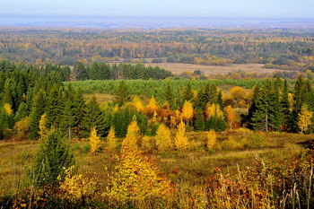 Autumn / ***