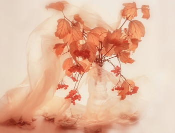 Autumn tenderness / ***