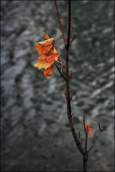 Two loneliness / ***