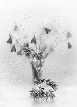  / herbstliche Stimmung