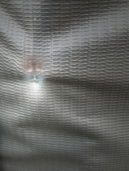 My sweet Lord / in the universe