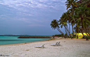 Maldives / ***