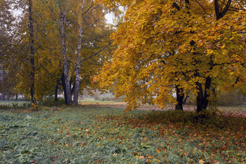 Autumn colors / ***