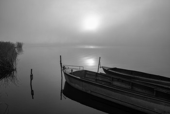 Cold morning / ***